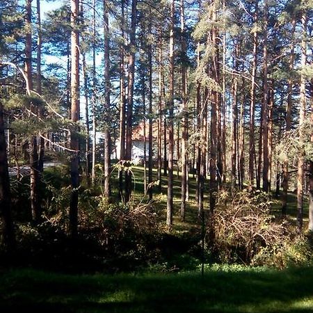 Apartment 9 Gorska Vila Zlatibor Bagian luar foto