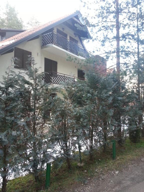 Apartment 9 Gorska Vila Zlatibor Bagian luar foto