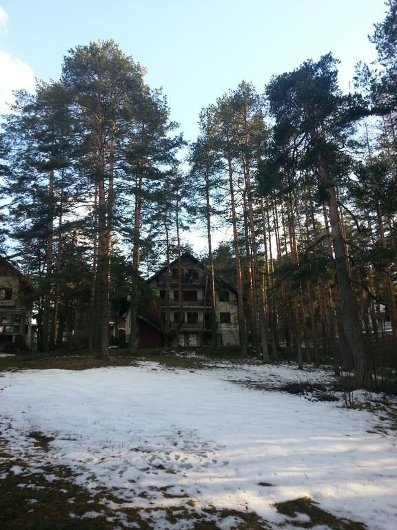 Apartment 9 Gorska Vila Zlatibor Bagian luar foto